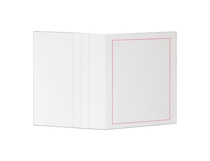 100 CHEMISES REPORTAGE ZOOM POUR 10x15