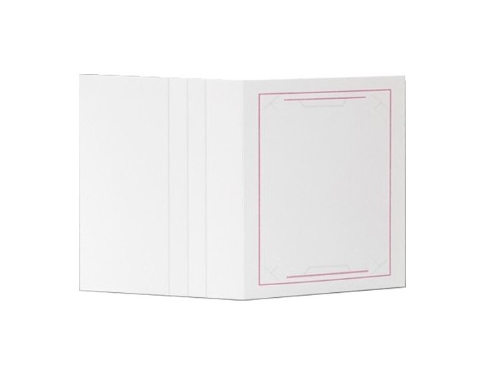 100 CHEMISES REPORTAGE ZOOM POUR 13X18   13X19