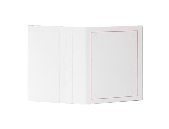 100 CHEMISES REPORTAGE ZOOM POUR 15X20,15X21