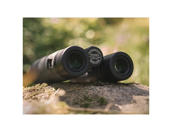 FOCUS JUMELLES OBSERVER 8X42 ED