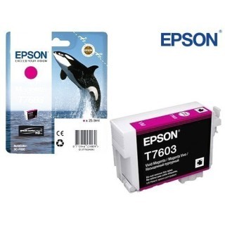 EPSON ENCRE VIVID MAGENTA    SureColor SC-P600